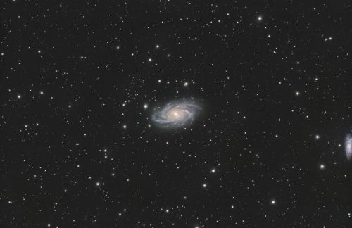 NGC 2336 / Sára Mackrlová, Kryštof Macek / 26.12.2025 / LRGB 8,5h expozice celkem